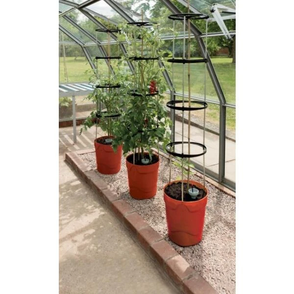 Tomatentoren Met Bewateringssysteem - 150 Cm 3 Tomatentoren Met Bewateringssysteem - 150 Cm