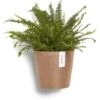 ECOPOTS Amsterdam Wall Terracotta Ø 20 Cm -Planten Winkel 1521554096 2 600