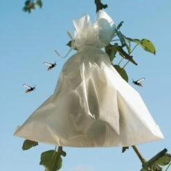 Fruithoezen 17 × 22 Cm Micropapier - Set Van 50 Stuks 11 Fruithoezen 17 × 22 Cm Micropapier - Set Van 50 Stuks -Planten Winkel 1523459561 2 600