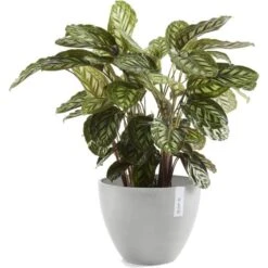 ECOPOTS Antwerp - Witgrijs Ø 30 Cm -Planten Winkel 1524053668 2 600