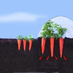 Kweekfolie / Tunnelfolie - 2 × 10 M -Planten Winkel 1534088192 2 600