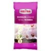 Substral Potgrond Orchidee 6 Liter -Planten Winkel 1555875819 1 600