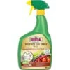 Substral Biologische Insectenbestrijdingsspray 800 Ml -Planten Winkel 1557482662 1 600