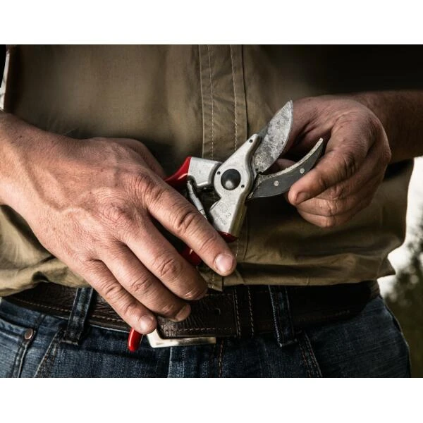 Reserve Bovenmes Voor Klassieke Snoeischaar Felco 2 5 Reserve Bovenmes Voor Klassieke Snoeischaar Felco 2 - Afbeelding 3