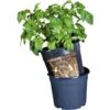 ESSCHERT DESIGN Aardappelpot - PotatoPot - 12 Liter 2 ESSCHERT DESIGN Aardappelpot - PotatoPot - 12 Liter -Planten Winkel 1579855338 1 600