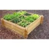Moestuinbak - Vierkant 140 × 140 × 40 Cm -Planten Winkel 1596024602 2 600