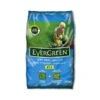 Evergreen Gazonmest En Anti-mos 2 In 1 - 7 Kg 1 Evergreen Gazonmest En Anti-mos 2 In 1 - 7 Kg -Planten Winkel 1613482267 1 600