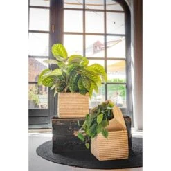 Bloempot Isaac Naturel - Set Van 3 Stuks 8 Bloempot Isaac Naturel - Set Van 3 Stuks -Planten Winkel 1614007753 3 600