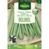 Struikboon Delinel 1 Struikboon Delinel -Planten Winkel 1647940165 1 600