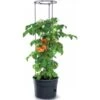 Tomaten Kweekpot Met Groeisteun - 12 Liter -Planten Winkel 1649410567 1 600