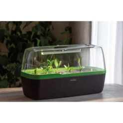Groeilicht LED Voor Mini-kweekkas 20 Cm - 5 Watt -Planten Winkel 1653465884 4 600