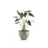 ECOPOTS Antwerp - Taupe Ø 40 Cm -Planten Winkel 1672753896 1 600