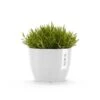 ECOPOTS Stockholm - Puur Wit Ø 16 Cm