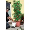 Plantentoren Maxitom Met Waterreservoir - Terracotta -Planten Winkel 1677510667 1 600