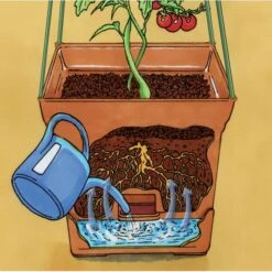 Plantentoren Maxitom Met Waterreservoir - Terracotta -Planten Winkel 1677510668 5 600