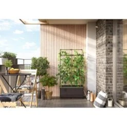 Kweekbak City Jungle Basic Met Klimframe 10 Kweekbak City Jungle Basic Met Klimframe -Planten Winkel 1677572003 1 600