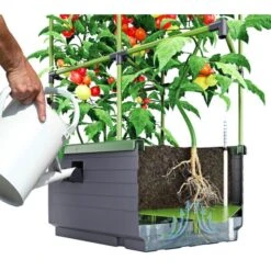 Kweekbak City Jungle Basic Met Klimframe 11 Kweekbak City Jungle Basic Met Klimframe -Planten Winkel 1677572003 2 600