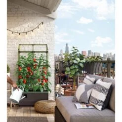 Kweekbak City Jungle Basic Met Klimframe 12 Kweekbak City Jungle Basic Met Klimframe -Planten Winkel 1677572004 4 600