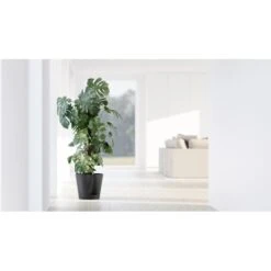 ECOPOTS Venice 2 Ø 30 Cm - Antraciet -Planten Winkel 1678350723 2 600