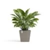 ECOPOTS Rotterdam Met Waterreservoir Taupe - 45 Cm -Planten Winkel 1678351744 1 600