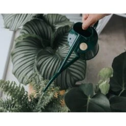 Haws Kamerplantengieter The Fazeley Flow 1 L - Groen -Planten Winkel 1686734925 3 600