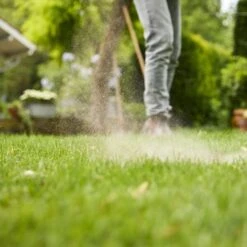 Compo Turbo Gazonmeststof - 5 Kg -Planten Winkel 1709200549 5 600