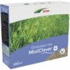 DCM Graszaad Met Miniclover - 100 M² -Planten Winkel 1738590522 1 600