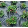 Sogo Gronddoek/anti-worteldoek - 200 X 500 Cm -Planten Winkel 1742303954 1 600