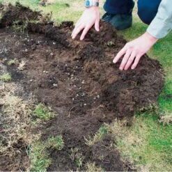 DCM Heteri-Guard - Aaltjes Tegen Engerlingen In Gazon - Voor 500 M² -Planten Winkel aaltjes tegen engerlingen 500 m 1664370749 2 600