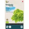 Andijvie Gele Volhart BIO -Planten Winkel andijvie gele volhart bio 1646840366 1193 600