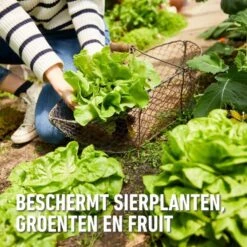 Compo Bio Anti-slakkenkorrels Voor 400 M² - 2 Kg -Planten Winkel antislak bio 2 kg 1740479025 3 600