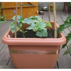 Anti-slakken Kopertape 4 M 10 Anti-slakken Kopertape 4 M -Planten Winkel antislakken kopertape 1484052941 3 600