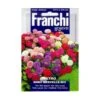 Astro Nano Merveille Mix - Aster Mengsel 1 Astro Nano Merveille Mix - Aster Mengsel -Planten Winkel astro nano merveille mix aster mengsel 1646840374 1387 600