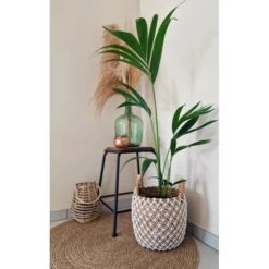 Banana Mand - Ø 35 × 45 Cm - M -Planten Winkel banana mand 35 x 45 cm 1666263684 3 600