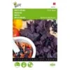 Basilicum Dark Opal - Ocimum Basilicum -Planten Winkel basilicum dark opal ocimum basilicum 1646840311 9 600