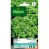 Basilicum Fijnbladig - Ocimum Basilicum -Planten Winkel basilicum fijnbladig ocimum basilicum 1646839523 91 600