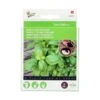 Basilicum Genovese - 4 Zaadpads -Planten Winkel basilicum genovese 4 zaadpads 1646840345 710 600