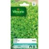 Basilicum Pesto - Ocimum Basilicum -Planten Winkel basilicum pesto ocimum basilicum 1646839538 178 600