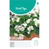 Begonia White Comet - Begonia Semperflorens -Planten Winkel begonia white comet begonia semperflorens 1646840359 1026 600
