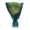 Beschermhoes Palmboom - Groen - 150 Cm -Planten Winkel beschermhoes palmboom 150 cm 1674116728 1 600