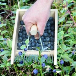 ESSCHERT DESIGN Bessenplukker Traditioneel - Hout -Planten Winkel bessenplukker traditioneel hout 1484066719 4 600