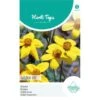Bidens Golden Eye - Bidens Humilis -Planten Winkel bidens golden eye bidens humilis 1646840359 1034 600