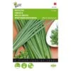 Bieslook Grove - Allium Fistulosum 2 Bieslook Grove - Allium Fistulosum -Planten Winkel bieslook grove allium fistulosum 1646840312 19 600