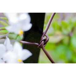 Bindbuis Elastisch Ø 2,5 Mm - Bruin 40 M -Planten Winkel bindbuis bruin 135 g 1484066131 2 600