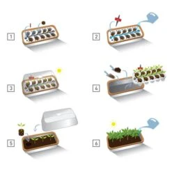 Binnenkas BoQube Plus Met Groelicht - 41 × 17 × 23 Cm -Planten Winkel binnenkas boqube plus 41x17x23 cm 1653470738 1 600