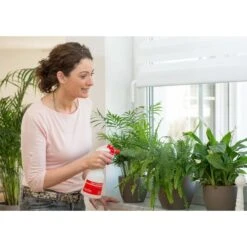 Birchmeier Foxy Plus -Planten Winkel birchmeier foxy plus 1496510253 2 600