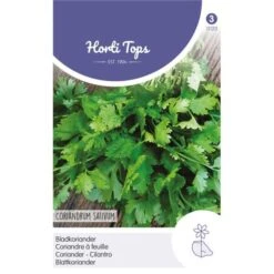 Bladkoriander - Coriandrum Sativum