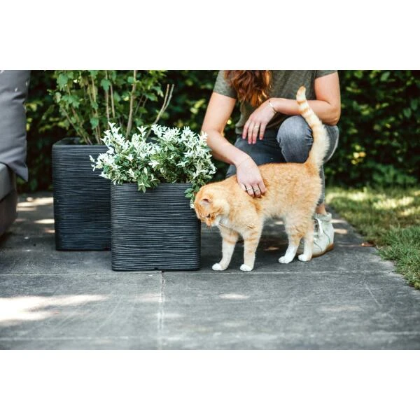 CAPI Bloembak Vierkant Rib NL 40 × 40 × 40 Cm - Zwart 6 CAPI Bloembak Vierkant Rib NL 40 × 40 × 40 Cm - Zwart - Afbeelding 4