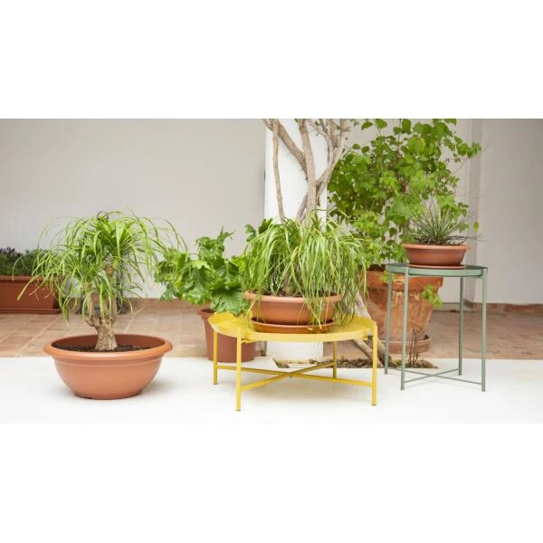 Bloemenschaal Venezia 40 Cm - Terracotta 4 Bloemenschaal Venezia 40 Cm - Terracotta - Afbeelding 2