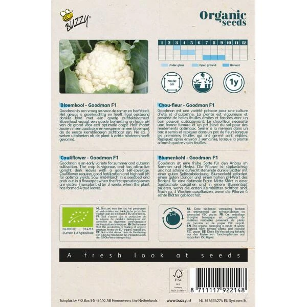 Bloemkool Goodman F1 BIO 4 Bloemkool Goodman F1 BIO - Afbeelding 2